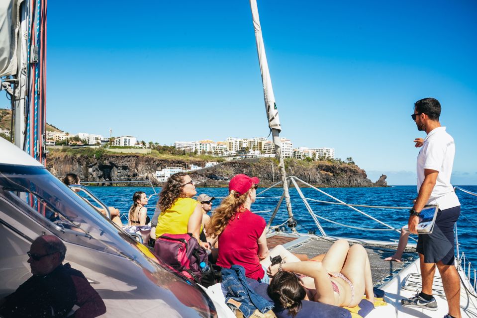 Funchal: Dolphin and Whale Watching by Luxury Catamaran - Booking Information and Availability