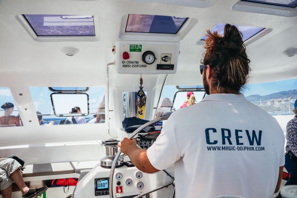 Funchal: Dolphin and Whale Watching by Luxury Catamaran - Multilingual Live Tour Guide