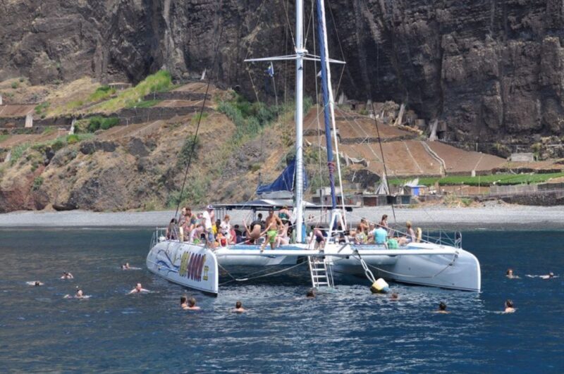 Funchal: Dolphin and Whale Watching Catamaran Cruise - Practical Details and Tips