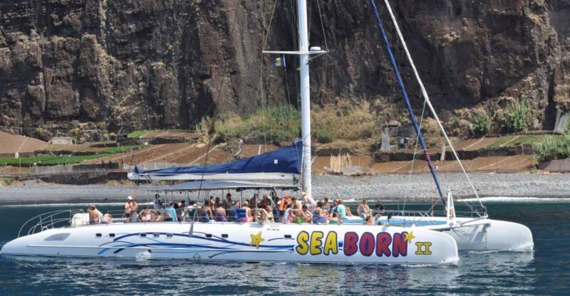 Funchal: Dolphin and Whale Watching Catamaran Cruise - Who Should Consider This Tour?