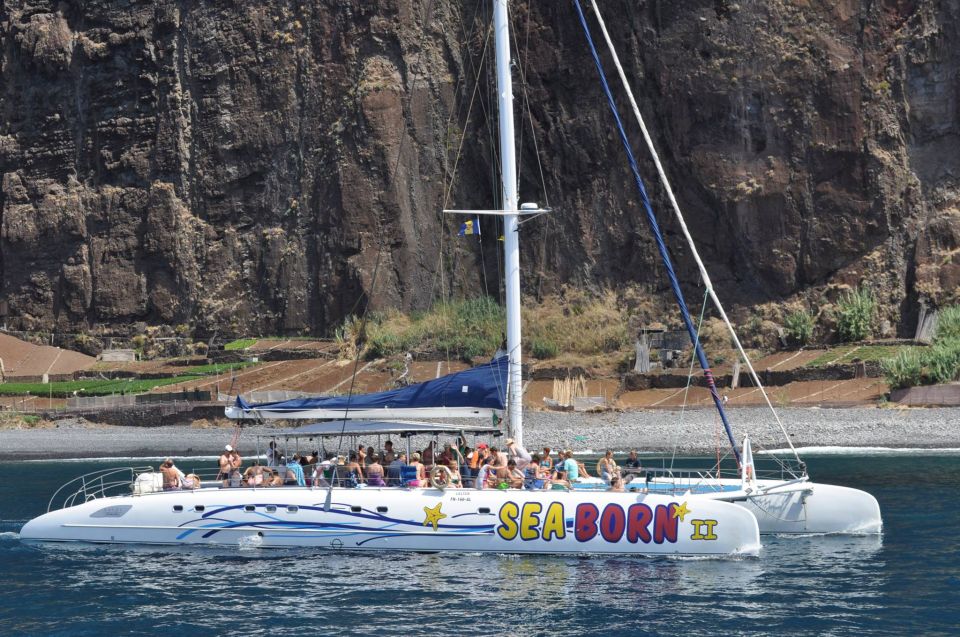 Funchal: Dolphin and Whale Watching Catamaran Cruise - Snorkeling and Refreshments Onboard
