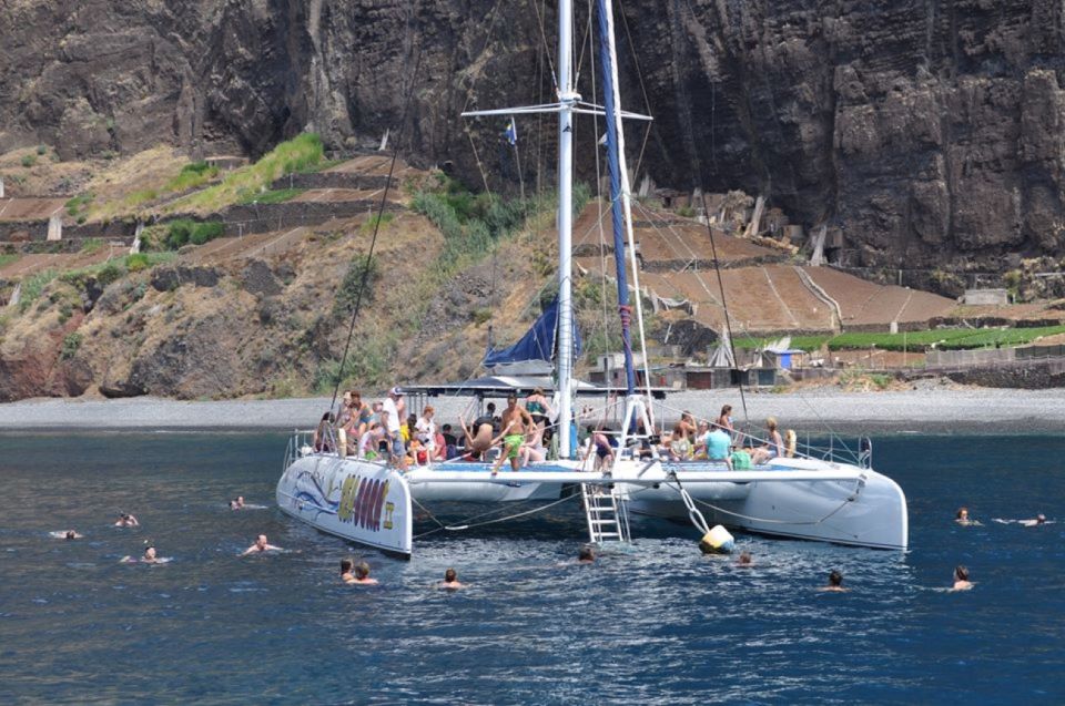 Funchal: Dolphin and Whale Watching Catamaran Cruise - Cruise Duration and Languages