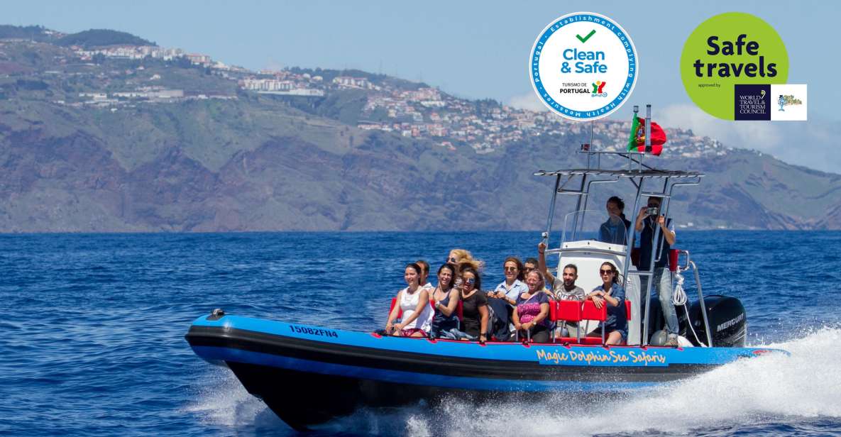 Funchal: Dolphin and Whale Watching Cruise - Whats Included in the Tour