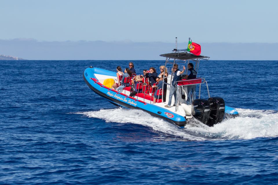 Funchal: Dolphin and Whale Watching Cruise - Whats Not Included