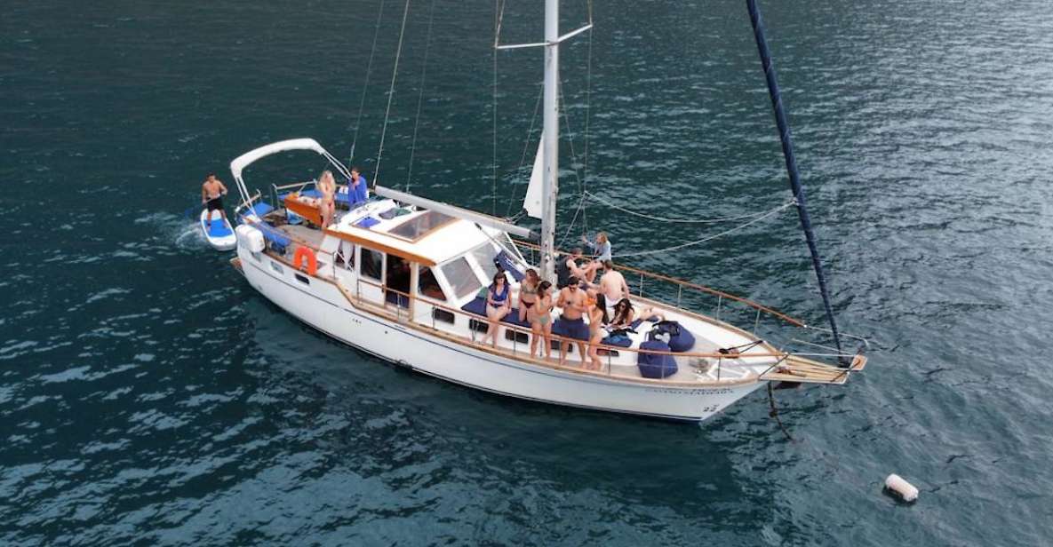 Funchal: Dolphin and Whale Watching Sailing Trip - Experience Highlights