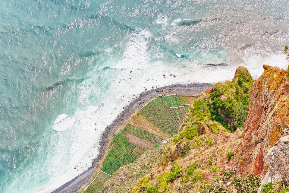 Funchal: Dolphin and Whale Watching Sailing Trip - Itinerary