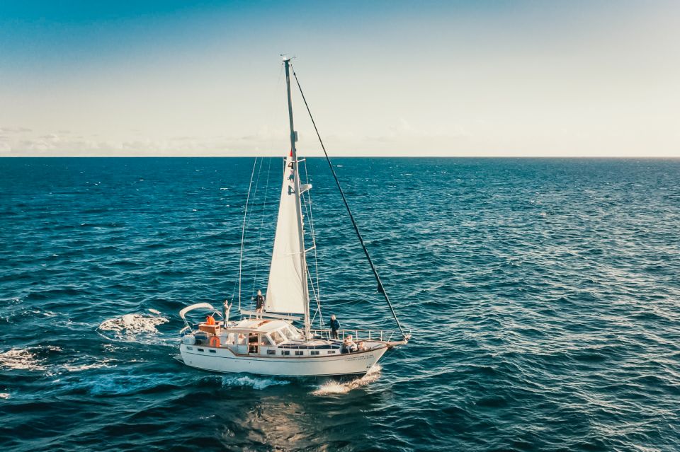 Funchal: Dolphin and Whale Watching Sailing Trip - Preparing for the Trip