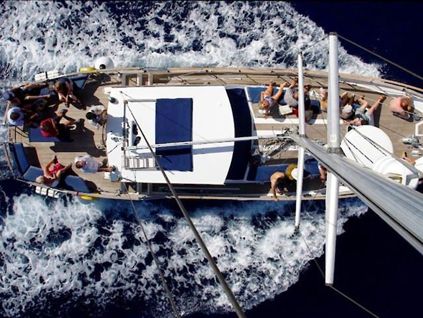 Funchal: Dolphin and Whale Watching Sailing Trip - Onboard the Sailing Yacht