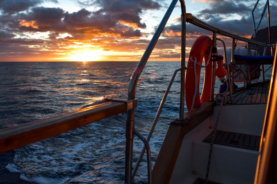Funchal: Dolphin and Whale Watching Sunset Sailing Tour - Included in the Tour