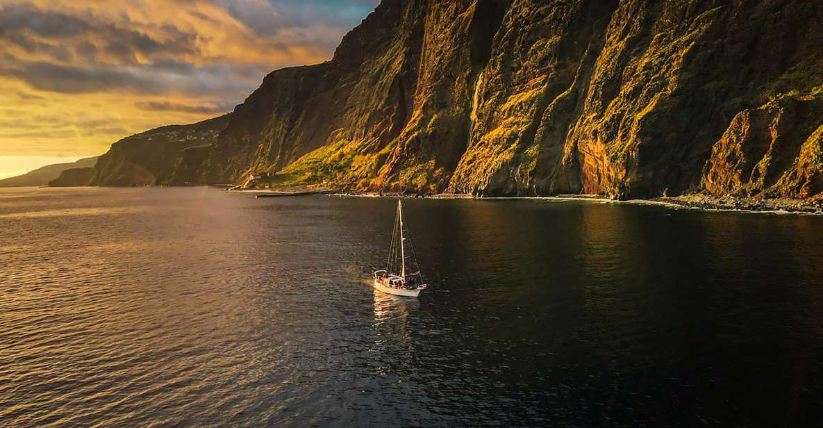 Funchal: Dolphin and Whale Watching Sunset Sailing Tour - Chance to Spot Wildlife