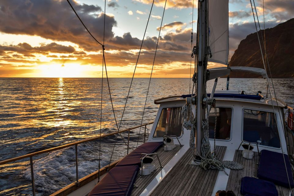 Funchal: Dolphin and Whale Watching Sunset Sailing Tour - Accessibility and Dress Code