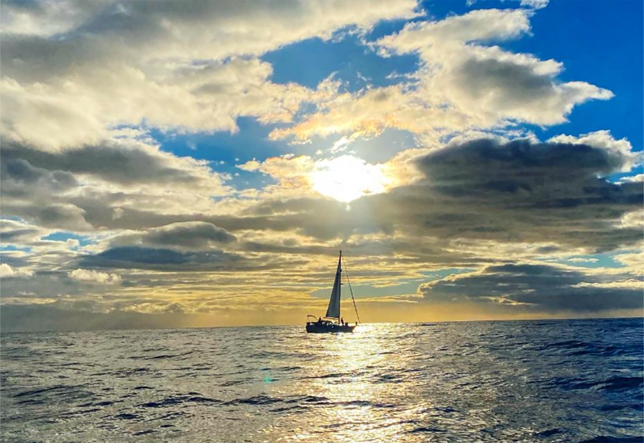 Funchal: Dolphin and Whale Watching Sunset Sailing Tour - Cancellation and Refund Policy