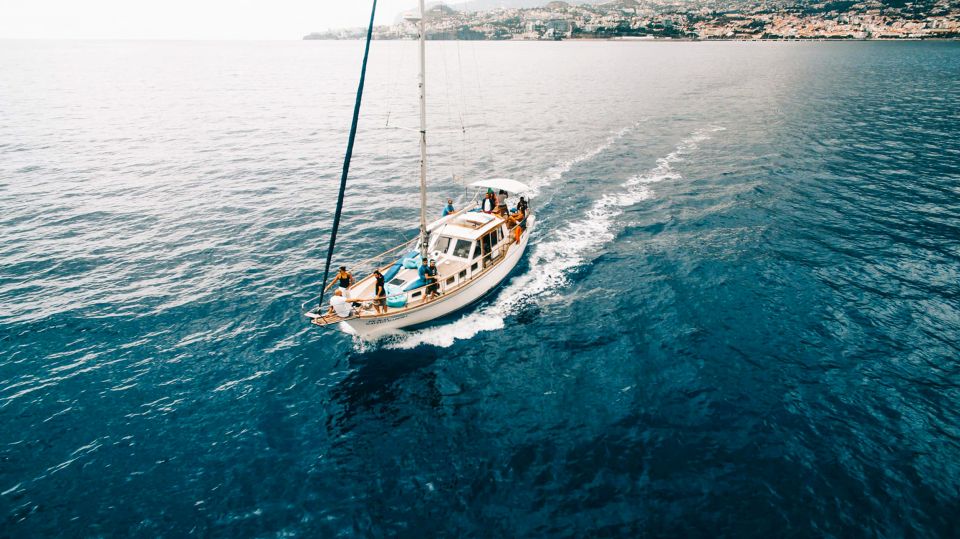 Funchal: Dolphin and Whale Watching Sunset Sailing Tour - Marine Life Sightings