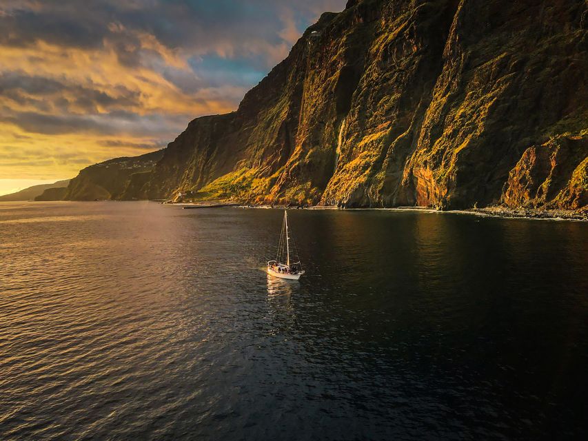 Funchal: Dolphin and Whale Watching Sunset Sailing Tour - Frequently Asked Questions