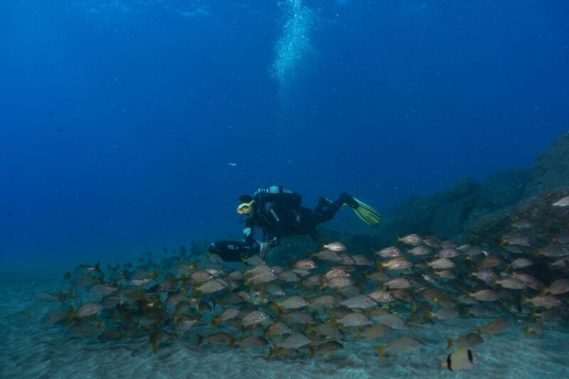 Funchal: DPV- Scooter Dive Adventure - Who Will Enjoy This Experience?