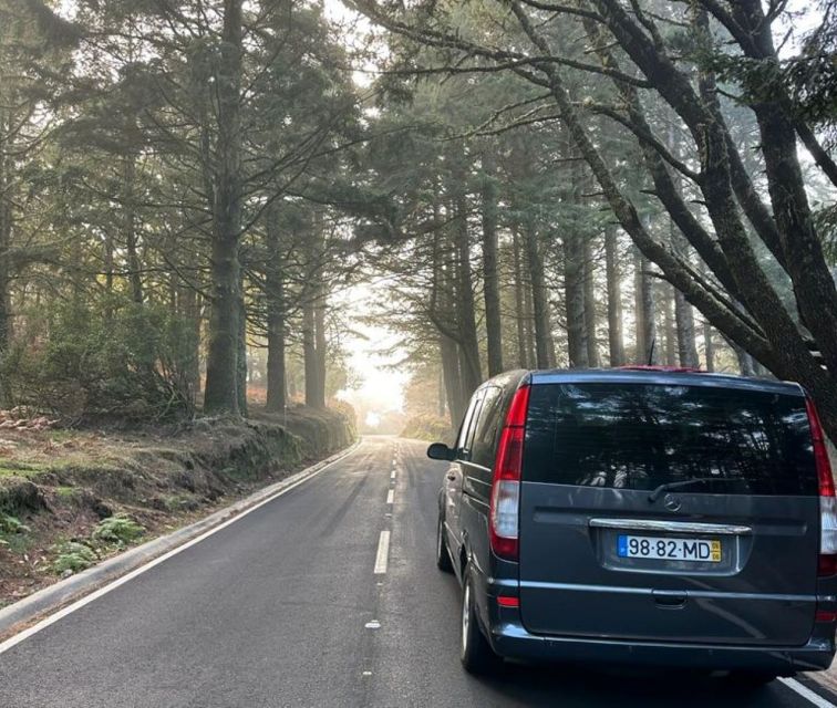 Funchal: East Madeira Island Guided Tour & Laurissilva Walk - Key Points