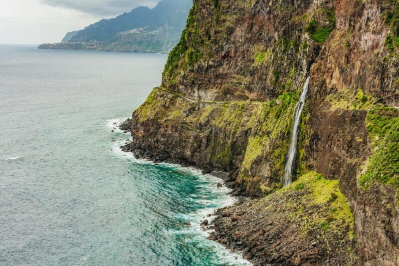 Funchal: Enchanted Terraces, Porto do Moniz & Fanal 4WD Tour - Pricing and Value