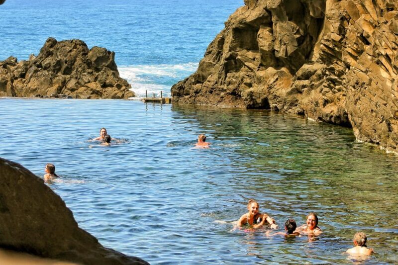 Funchal: Enchanted Terraces, Porto do Moniz & Fanal 4WD Tour - Summary of Pros and Cons