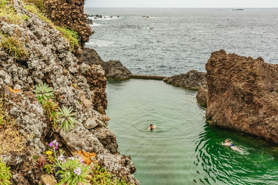 Funchal: Enchanted Terraces, Porto Do Moniz & Fanal 4WD Tour - Itinerary Details
