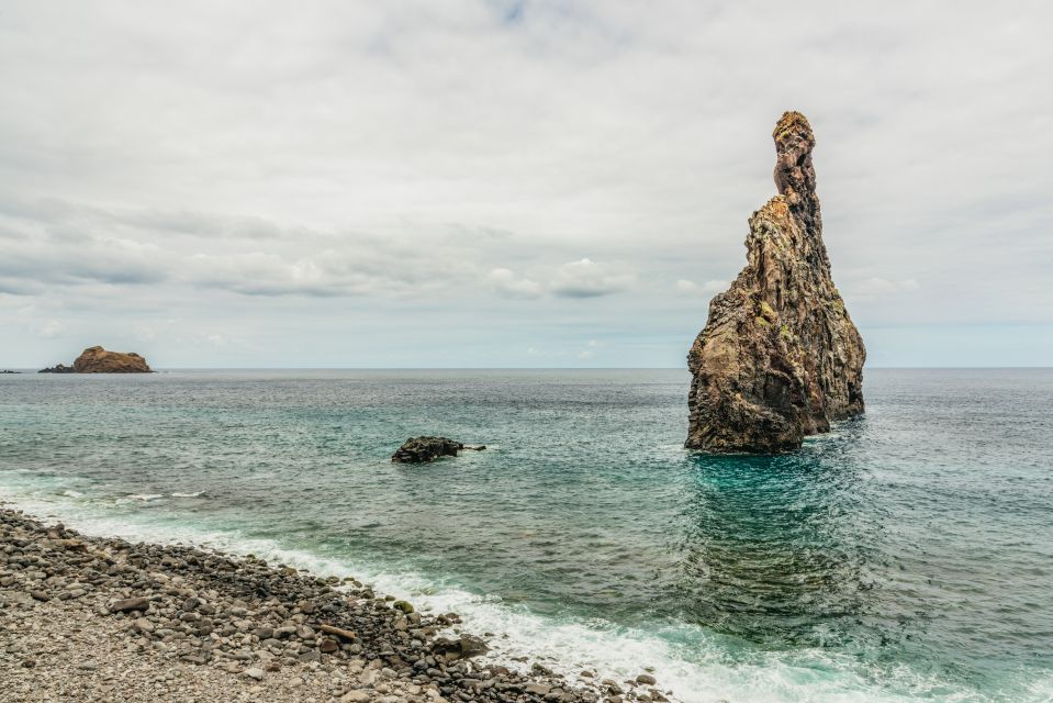 Funchal: Enchanted Terraces, Porto Do Moniz & Fanal 4WD Tour - Customer Reviews