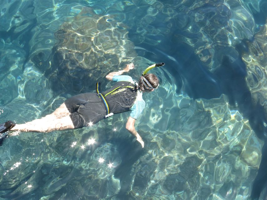Funchal: Equipment Rental for Snorkeling Adventure - Customer Reviews and Ratings
