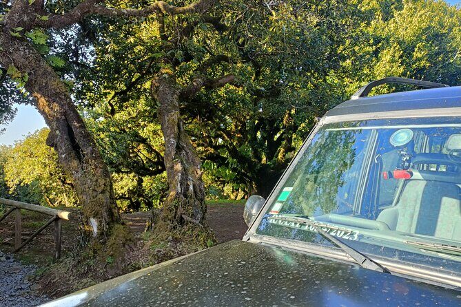 Funchal: Experiência 4WD Skywalk para Seixal Porto Moniz, Fanal - Whats Included and Whats Not