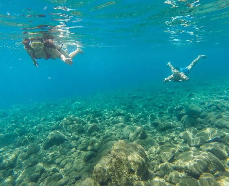 Funchal: Full-Day Fajãs Route Madeira Coastal Tour w/ Lunch - FAQ