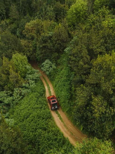 Funchal: Full-day Off-road Tour in West Madeira with Pickup - Who Will Love This Tour?