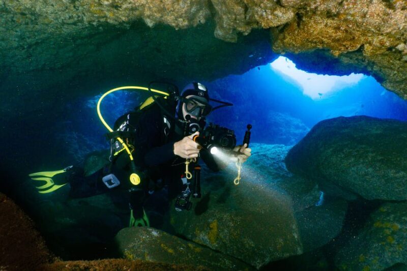 Funchal: Garajau national park - certified divers - What to Expect Underwater  