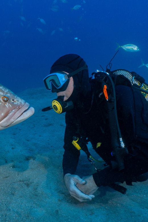 Funchal: Garajau national park - certified divers - The Cost and Value  