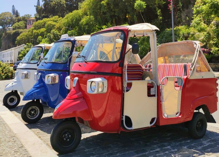 Funchal: Guided City Tuk-Tuk Tour - Itinerary Highlights