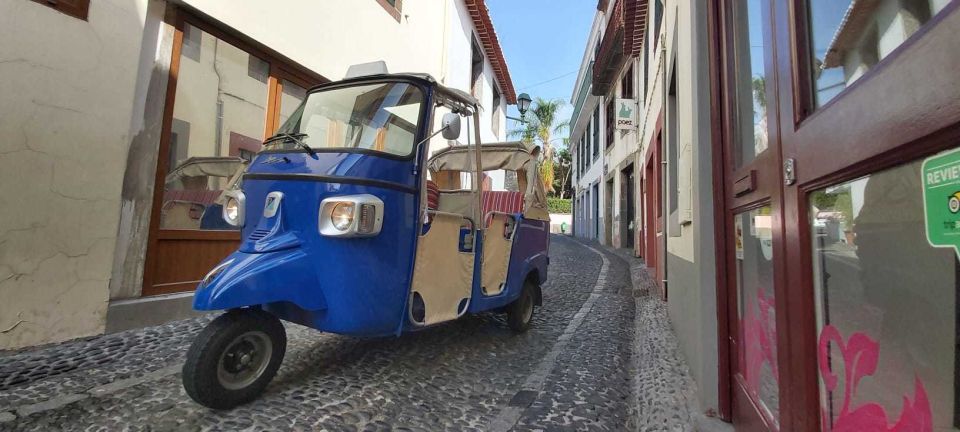 Funchal: Guided City Tuk-Tuk Tour - Scenic Points of Interest