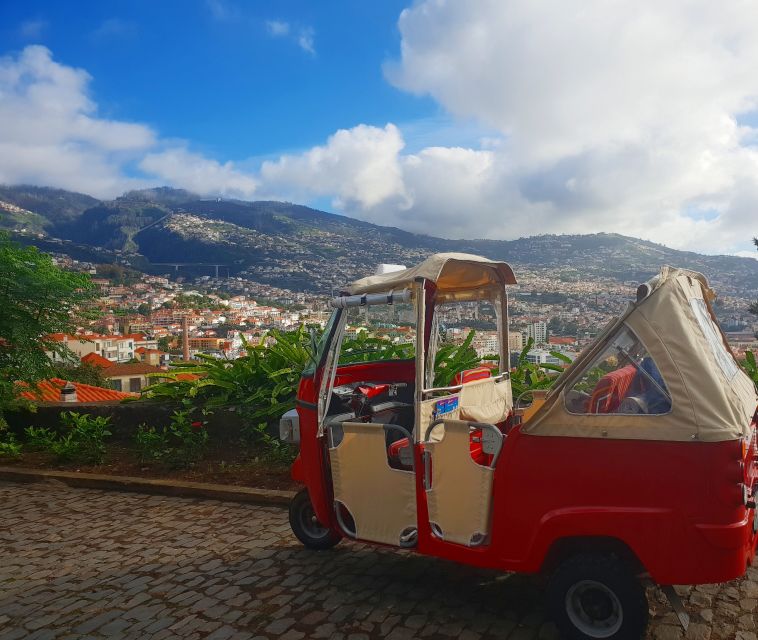 Funchal: Guided City Tuk-Tuk Tour - Customer Reviews and Feedback