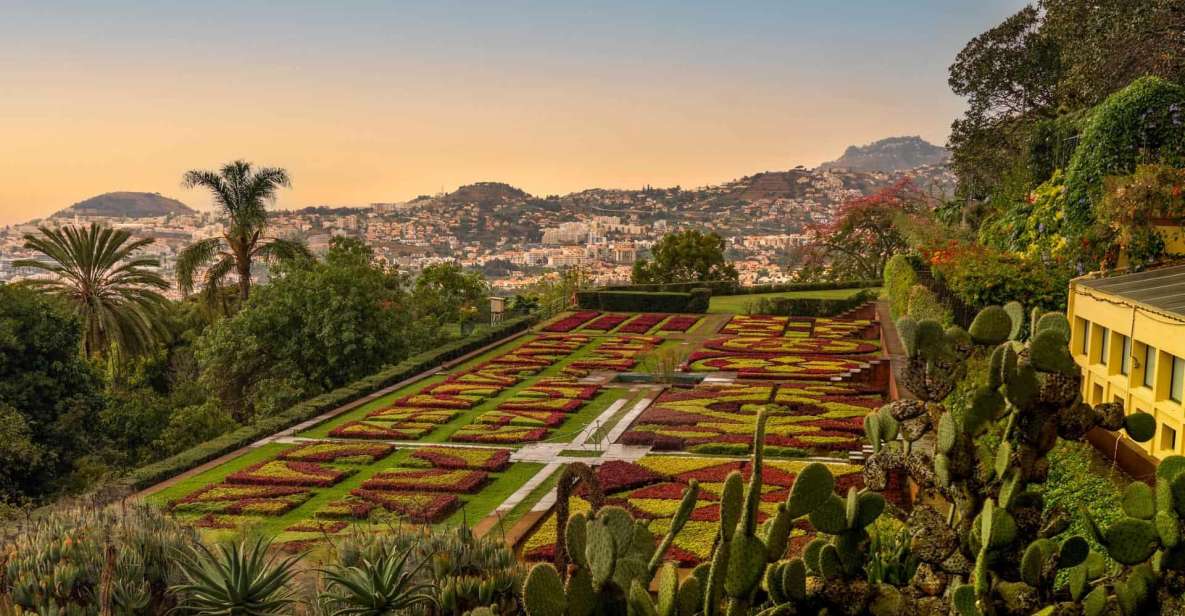 Funchal: Guided Old Town Tuk Tuk Tour and Botanical Gardens - An Authentic Look at Funchal’s Old Town
