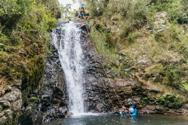 Funchal: Half-Day Beginner-Friendly Canyoning Experience - The Experience in Detail