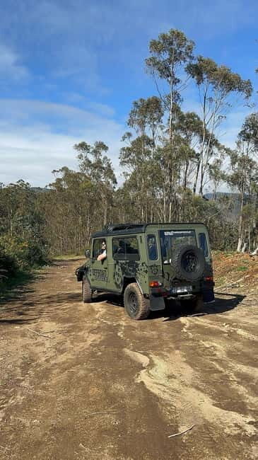 Funchal: Half-Day Jeep Tour with Cabo Girão Skywalk - Who Will Love This Tour
