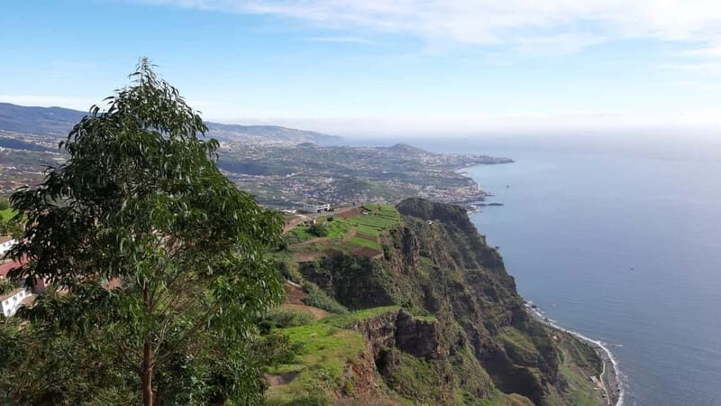 Funchal: Half-Day South Madeira Island Private Tour - Why this tour offers great value