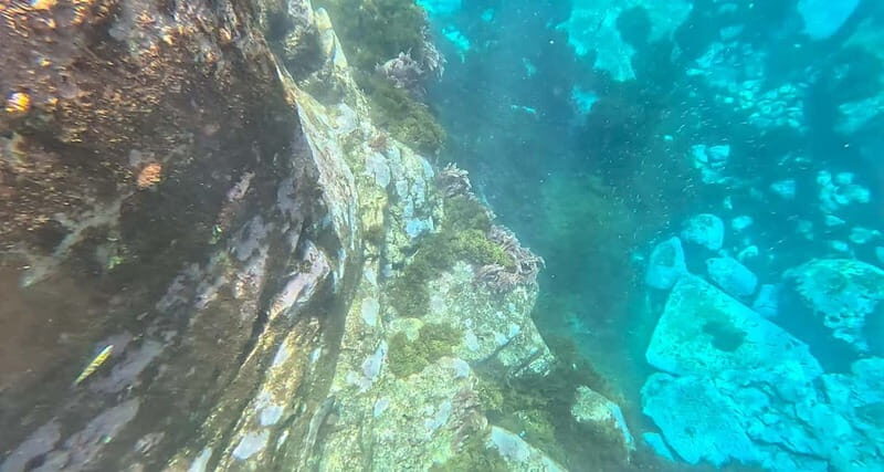 Funchal: Kayak and Snorkel Tour to Garajau NR - Key Points
