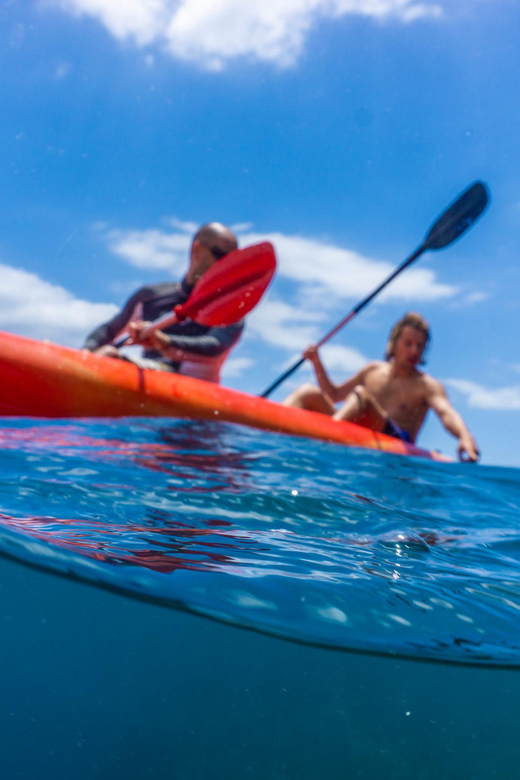 Funchal: KAYAK Rental or Guided tour with snorkeling - Who Should Consider This Tour