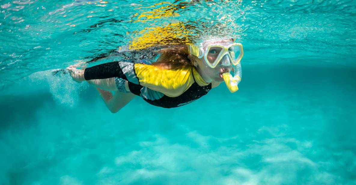 Funchal: Marine Reserve of Garajau Snorkeling Trip - Booking Information