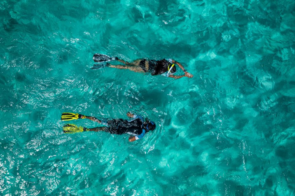 Funchal: Marine Reserve of Garajau Snorkeling Trip - Meeting Point and Directions