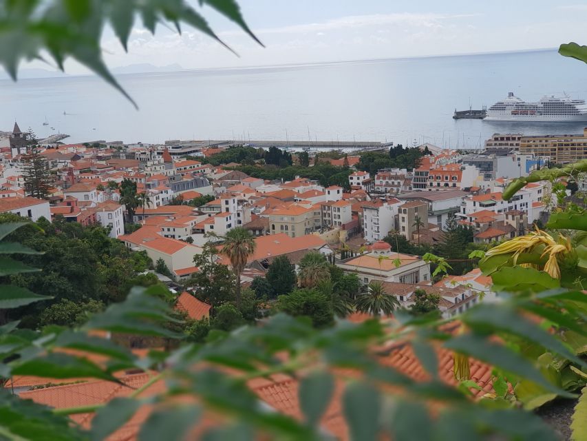 Funchal: Monte and Old Town Tour by Tuk-Tuk - Frequently Asked Questions