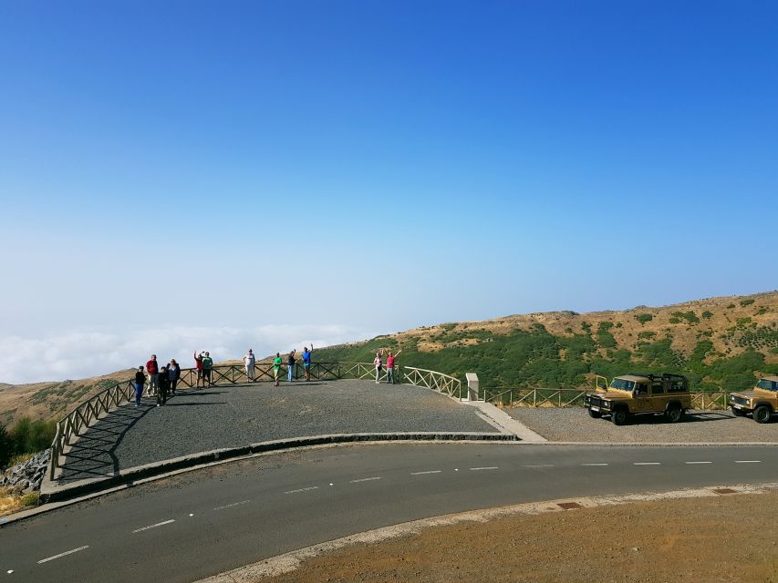 Funchal: Pico Arieiro, Christ the King, and Dolphin Watching - Key Points