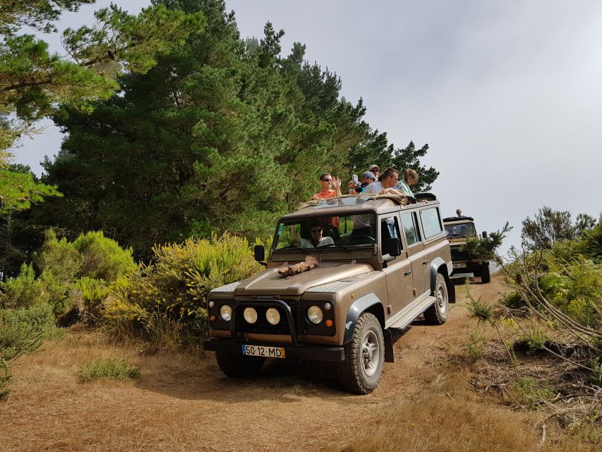 Funchal: Pico Arieiro, Christ the King, and Dolphin Watching - Key Highlights