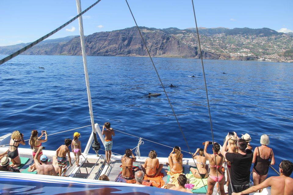 Funchal: Pico Arieiro, Christ the King, and Dolphin Watching - Off-road Adventure