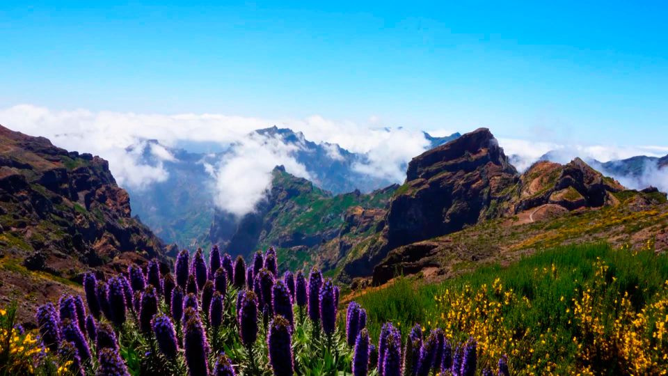 Funchal: Pico Arieiro, Christ the King, and Dolphin Watching - Cristo Rei Viewpoint