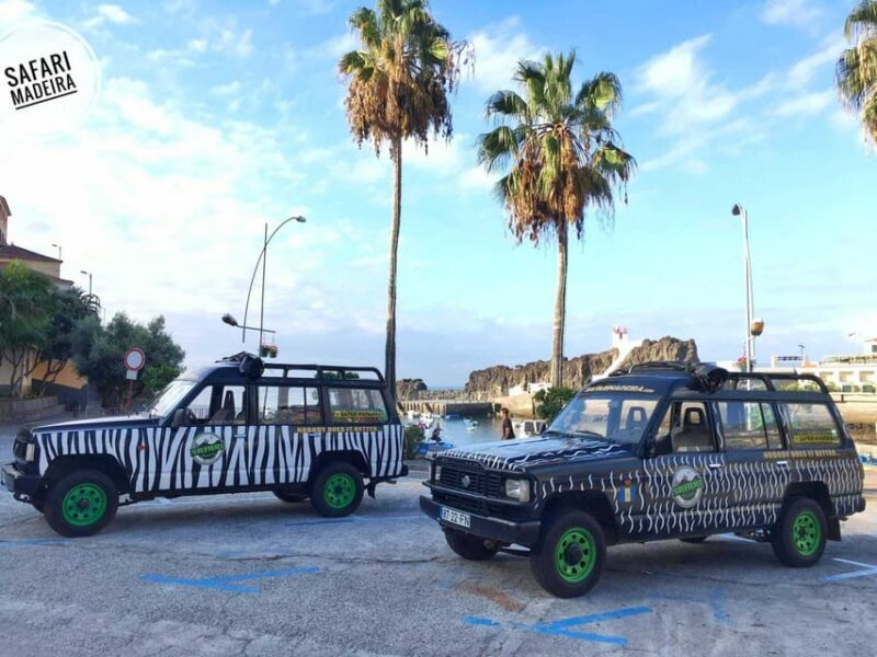 Funchal: Pico do Areeiro to Santana 4x4 East Tour - Who Will Love This Tour?