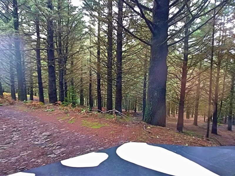 Funchal: Pico do Areeiro to Santana 4x4 East Tour - Final Thoughts