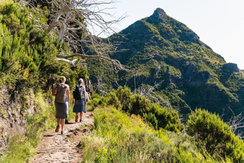 Funchal: Pico do Arieiro Sunrise Transfer Self-guided Hike - The Sum Up
