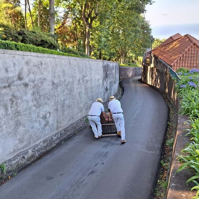 Funchal: Private Cable Car, Toboggan, and Skywalk Tour - A Closer Look at the Experience